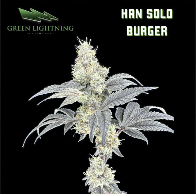 (GL) Han Solo Burger | 3.5g