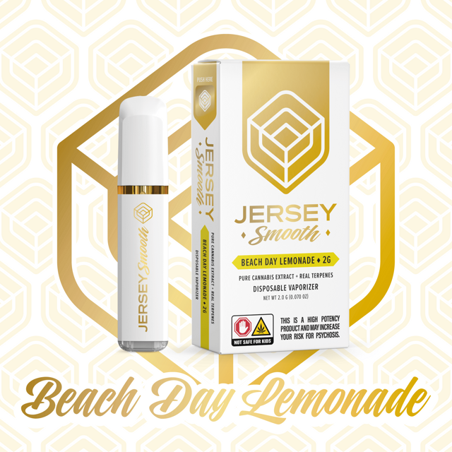 Beach Day Lemonade | 2g Distillate Vape (Disposable)