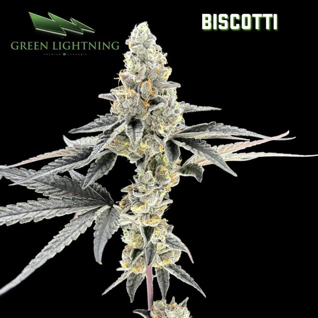 (GL) Biscotti | 3.5g