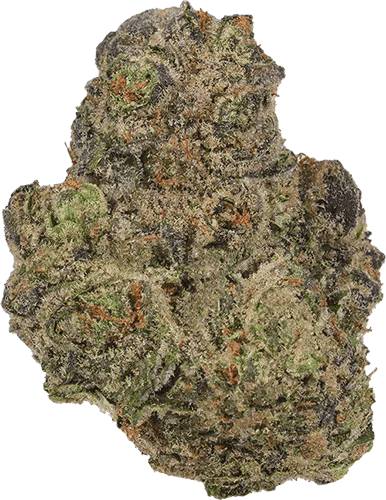 Rotten Teeth | 3.5g