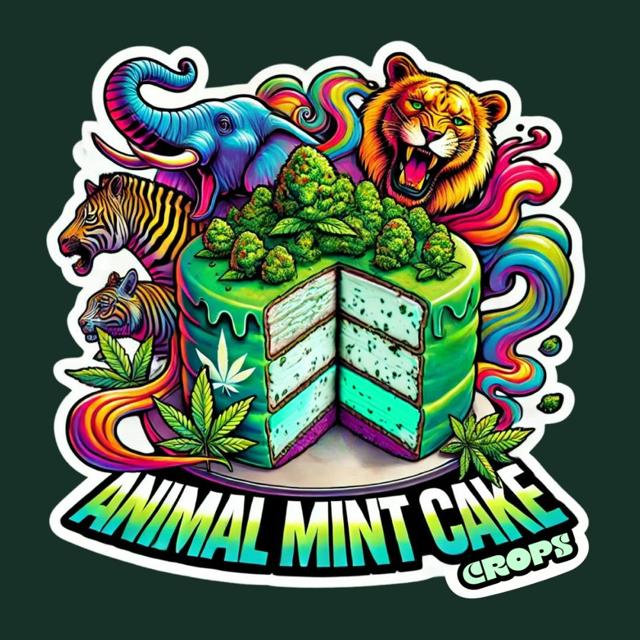 Animal Mint Cake | .5g Infused Prerolls (7pk)