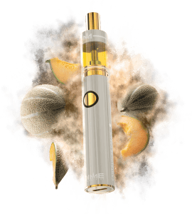 Cantaloupe Dream | 2g Distillate Vape (Disposable)