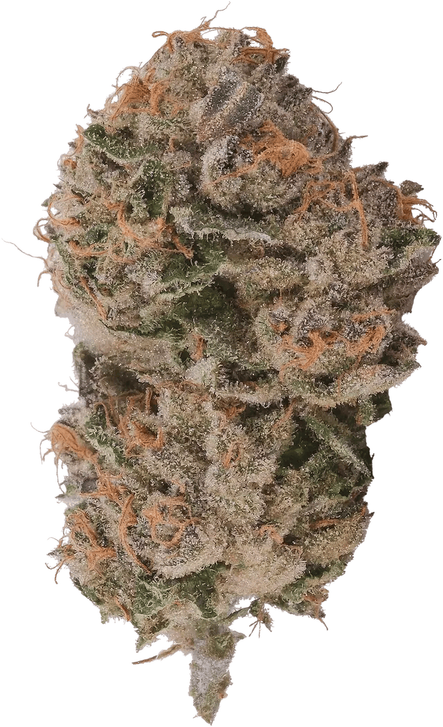 Purple Octane x Jealousy | 3.5g