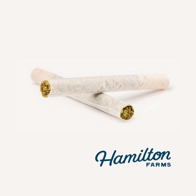 Kosher Kush | 0.5g Prerolls (2pk)