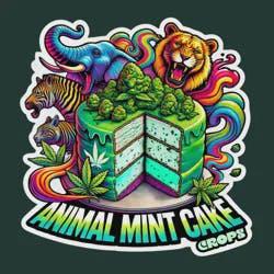 Animal Mint Cake | 1g Infused Preroll (1pk)