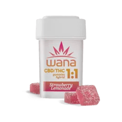 Strawberry Lemonade | 1:1 | CBD:THC | 100mg Gummies (10pk) (VEGAN) (S)