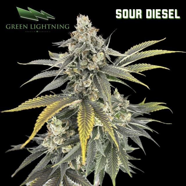 (GL) Sour Diesel | 3.5g