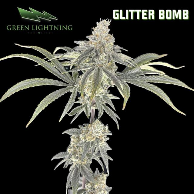 (GL) | Glitter Bomb | 3.5g