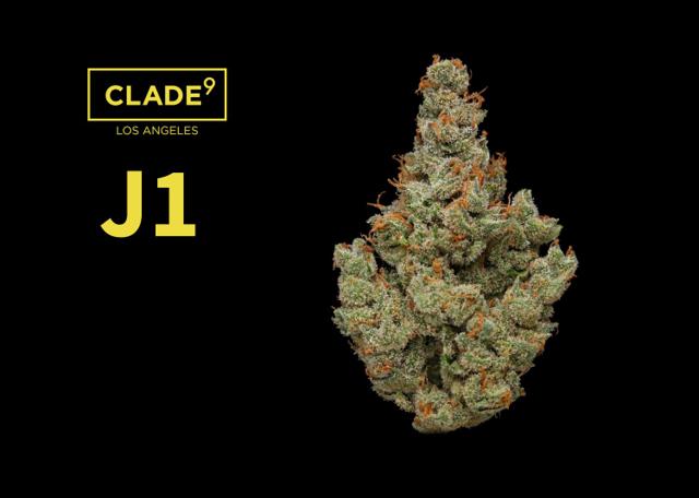 J1 | 3.5g