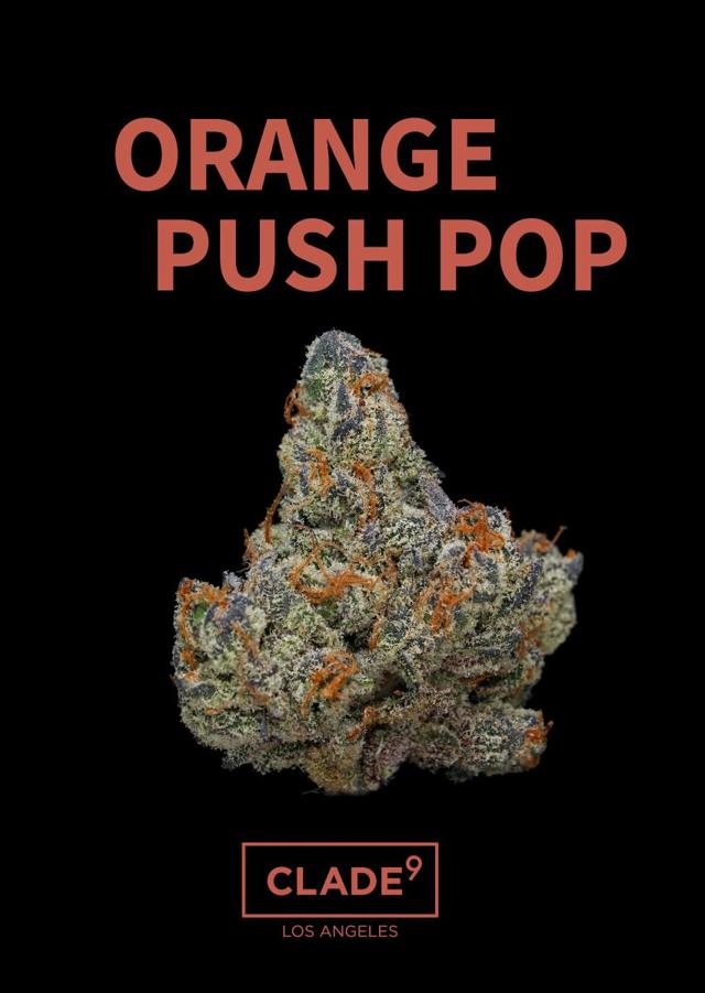 Orange Push Pop | 3.5g