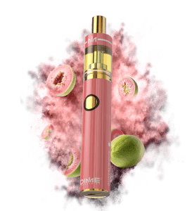 Guavaliscous | 2g Distillate Vape (Disposable)