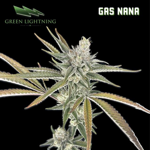 Gas Nana | 3.5g (S)