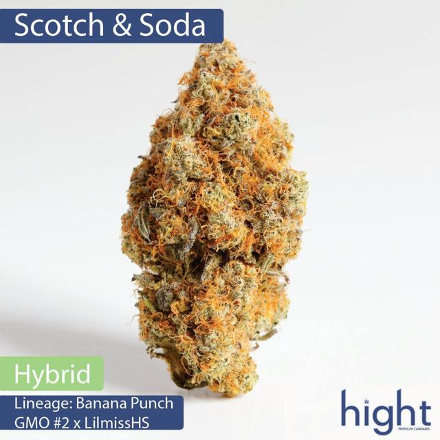 Scotch & Soda | 1g