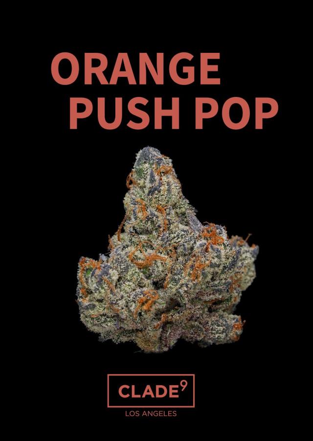 Orange Push Pop | 3.5g