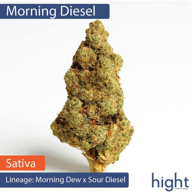 Morning Diesel | 1g