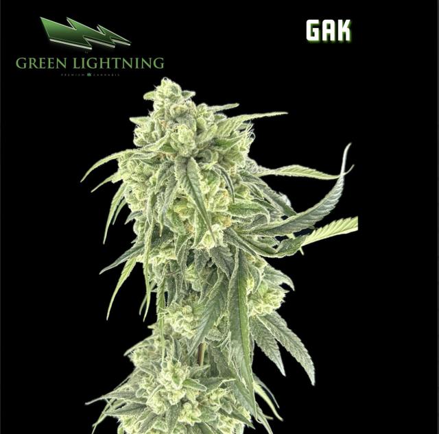 GAK | 3.5g