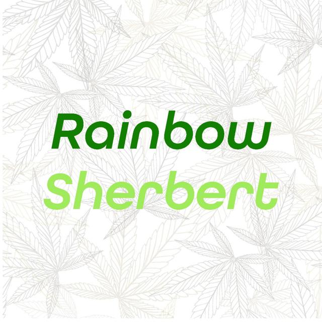 Rainbow Sherbert | 1g