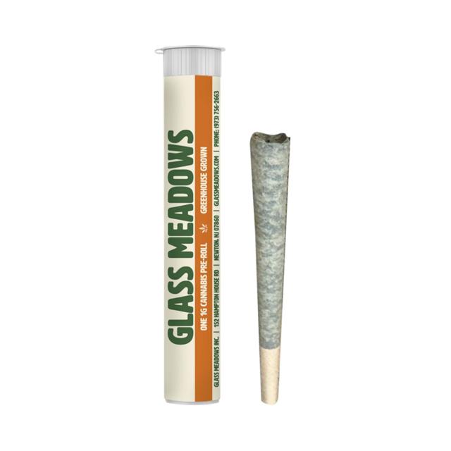 Mint Granita | 1g Preroll (1pk)