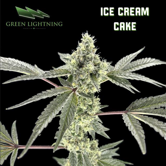 Ice Cream Cake #1 | 28g