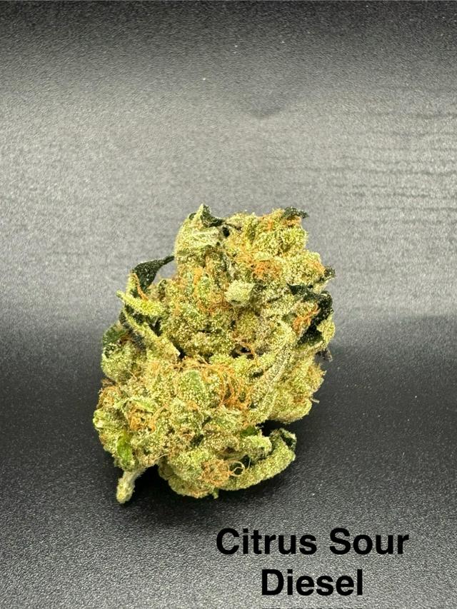 Citrus Sour Diesel | 3.5g
