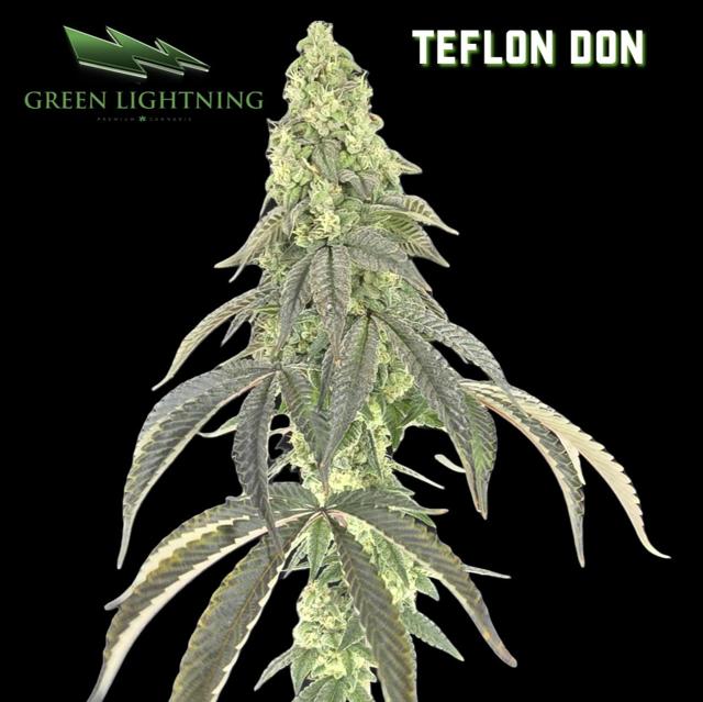 Teflon Don | 28g (Mixed)