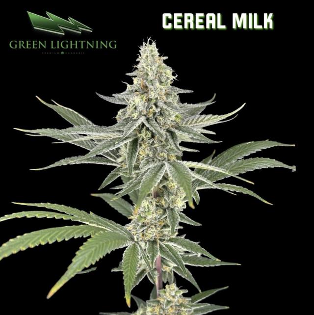 Cereal Milk | 28g (Mixed)