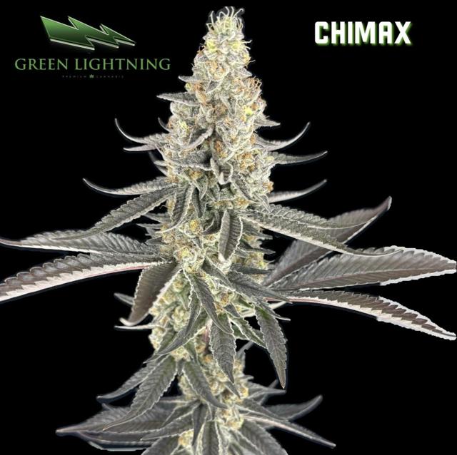 Chimax | 1g Preroll