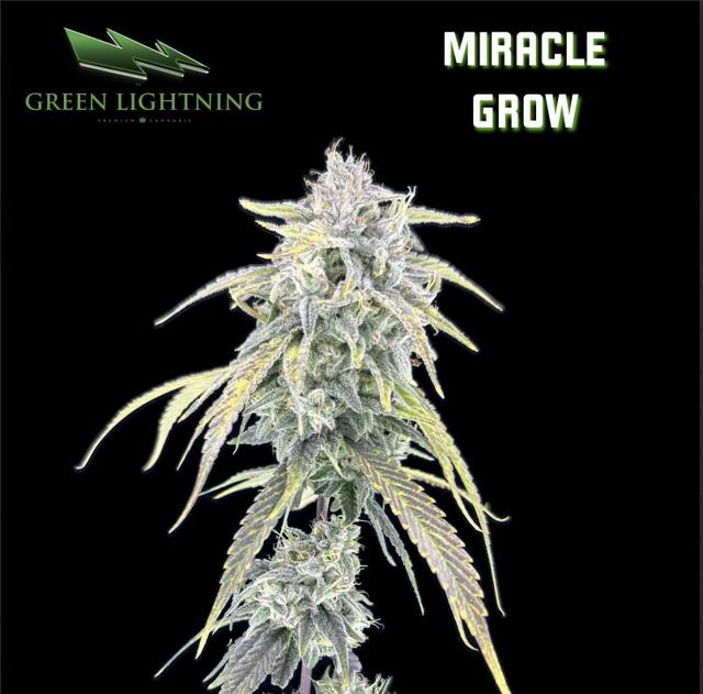 Miracle Grow | 1g Preroll