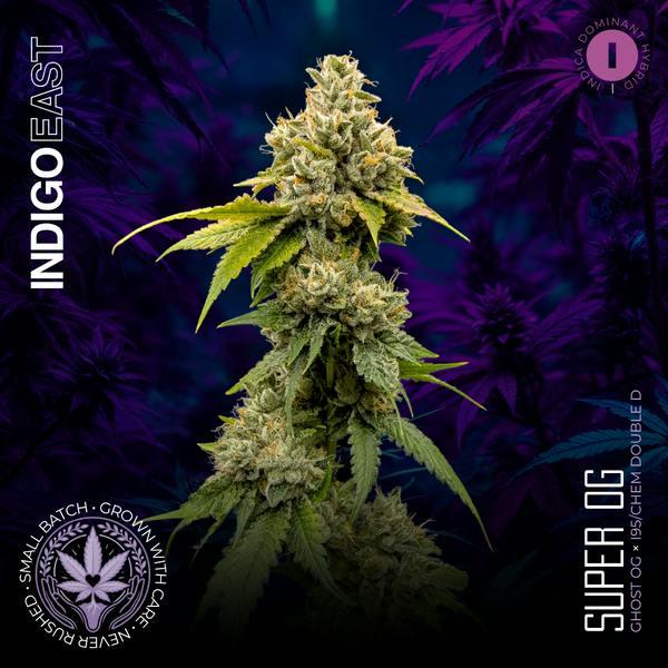 Super OG | 3.5g