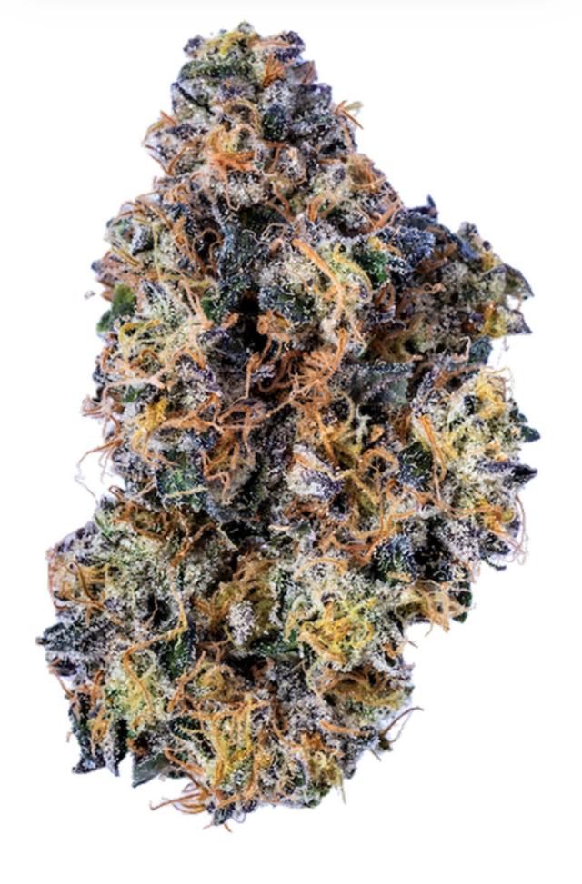 Animal Tsunami | 2.5g