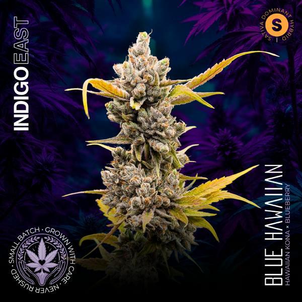 Blue Hawaiian | 3.5g