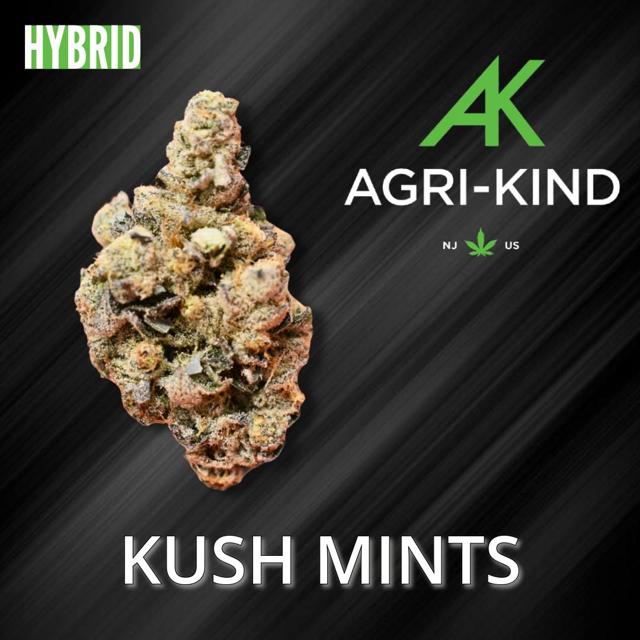 Kush Mints | 1g Flower