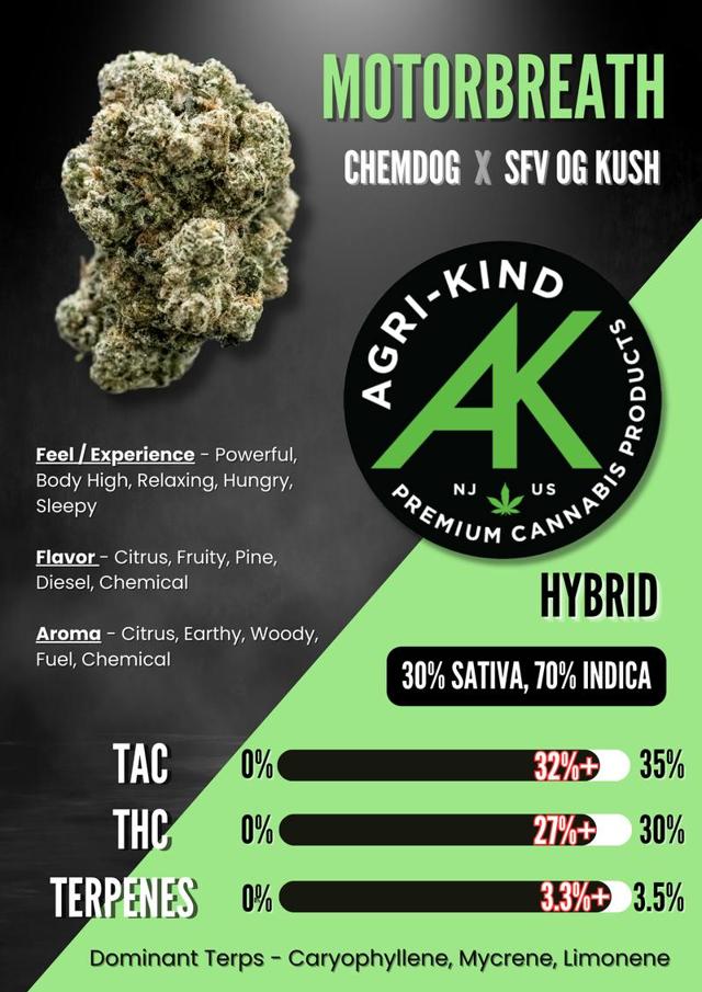 Motorbreath | 2g