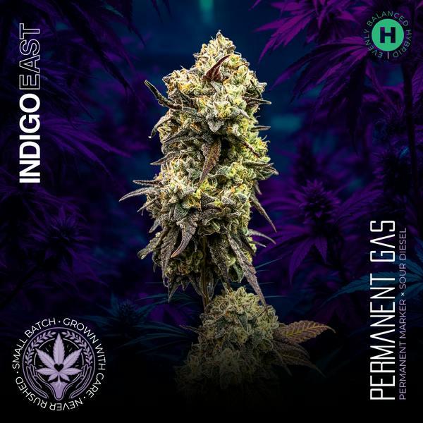 Permanent Gas | 3.5g