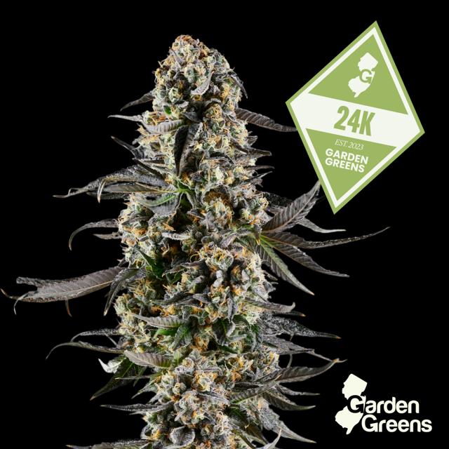 24k | 7g