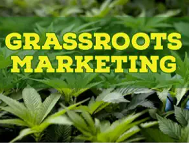 Anja Fest Growth and Community Focus with Kirill Satanovsky and Julio Casado